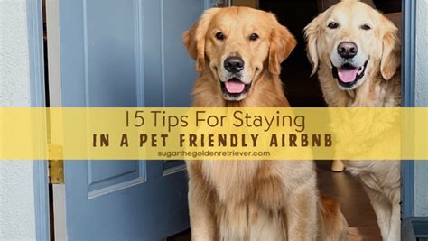 airbnb dog friendly|13 of the best dog